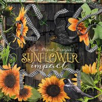 Sunflower Impact