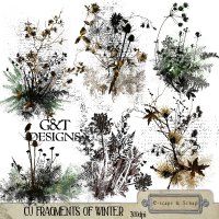 Fragments of Winter by G & T Designs