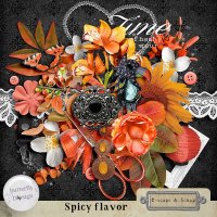 Spicy flavor Page kit by ButterflyDsign