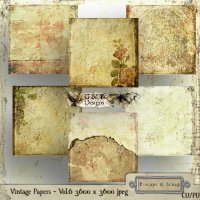Vintage Papers 6 by G & T Designs