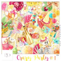Crazy Party Celebration Kit 1