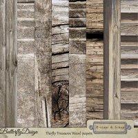 Thrifty Treasures Wood Papers by ButterflyDsign