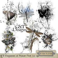 Fragments of Nature by G & T Designs