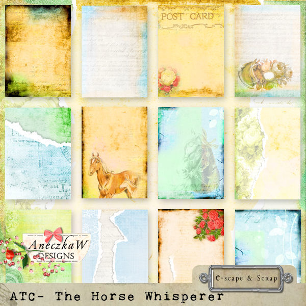 ATC- The Horse Whisperer by AneczkaW - Click Image to Close