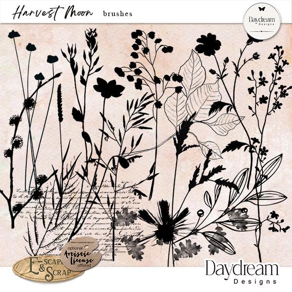 Harvest Moon Stamp Brushes by Daydream Designs