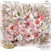 Heirloom Collection by Daydream Designs