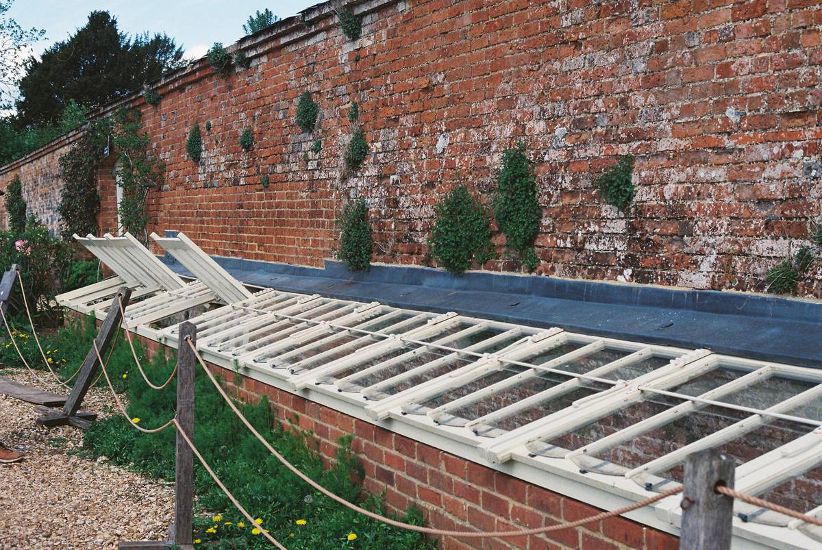 Mini greenhouse cloche tunnels protecting young lettuce rows in early spring garden