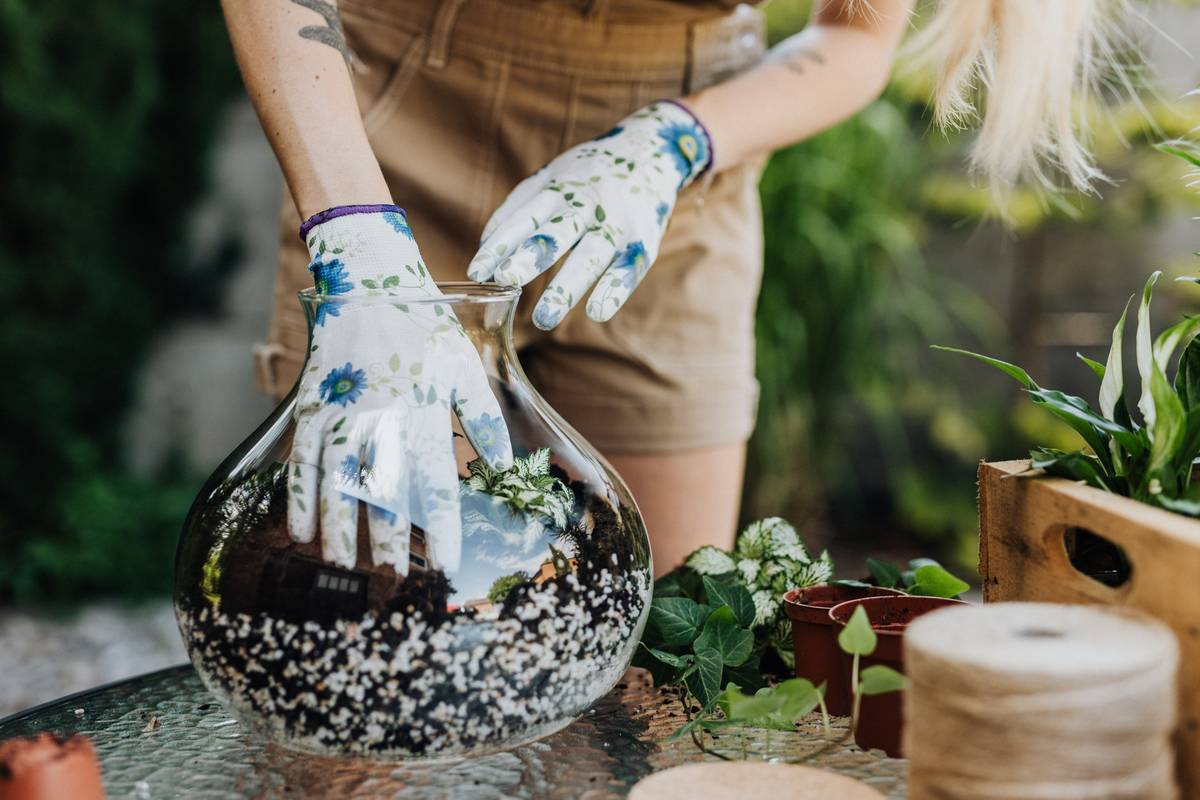 Mini Greenhouse Cloche: 7 Proven Tips to Avoid Costly Mistakes