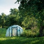 Cloche Plastic Greenhouse: 7 Proven Tips to Avoid Costly Mistakes