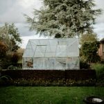 Small Greenhouse Cloche: 7 Proven Tips to Avoid Costly Mistakes