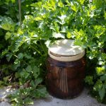 Victorian Greenhouse Cloche: 7 Proven Tips to Avoid Costly Mistakes