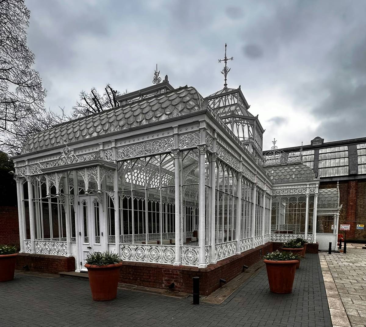 victorian greenhouse cloche covering young lettuce plants in a raised garden bed