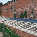 What Is a Cloche for Plants: 7 Proven Tips to Avoid Costly Mistakes
